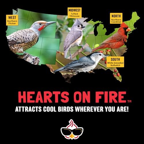 Hearts on Fire Hot Bird Seed – 10 lb. 100% Hulled Sunflower Hearts with Chili Pepper Oil – No Waste Bird Seed for Outside Feeders