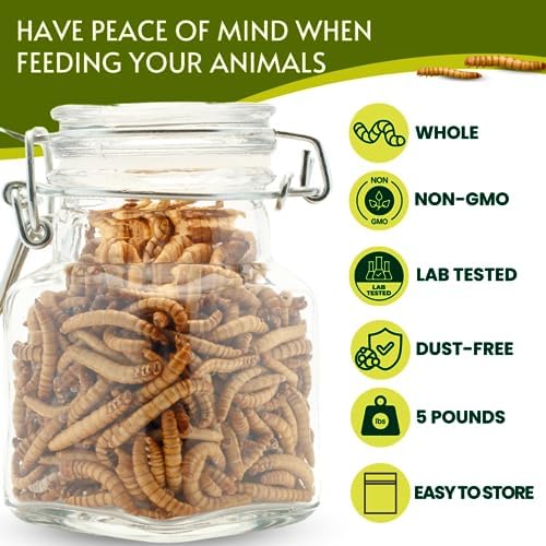 Dried Mealworms 100% Non-GMO 10 Lb - Mealworms for Birds, Chickens, Ducks - Perfect High-Protein Treats - Whole Large Meal Worms, Dried for Chickens and Bluebird Food Bulk