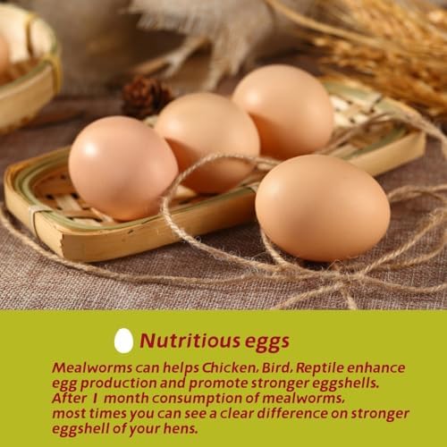 10 LB Dried Mealworms, 100% Natural, Non-GMO Mealworms for Chickens-High Protein Treats for Chickens, Ducks, Wild Birds