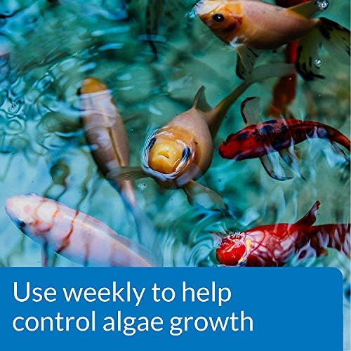 API POND ALGAEFIX Algae Control 64-Ounce Bottle (FF-169D)