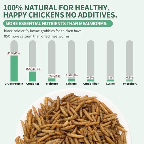 High Calcium, Non-GMO, 10LB Dried Black Soldier Fly Larvae for Chickens, 60-100X More Calcium Than Mealworms,Treat for Laying Hen, Ducks, Wild Birds,Turtles