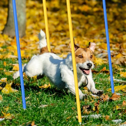 Silipull 4 Pcs Training Agility Poles 5ft Adjustable Soccer Training Poles Soccer Training Sticks Sports Speed and Agility Training Equipment for Football Sport Soccer Speed Training (Yellow, Blue)