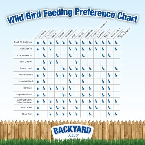 CountryMax Backyard Seeds Black Oil Sunflower (25 Pounds)