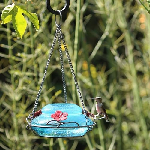 Nature's Way Bird Products GHF9 Hand Blown Garden Top Fill Hummingbird Feeder, 16 oz Capacity, Blue (066580)