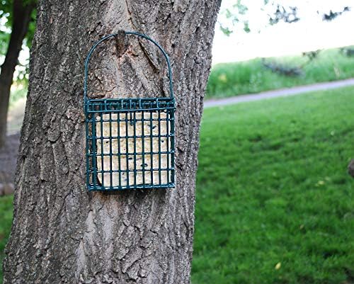 Wildlife Sciences Suet Cake 12 Packs (Sunflower Blend)