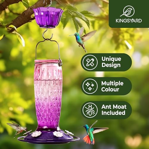 Kingsyard 2 Pack Glass Hummingbird Feeders for Outdoors Hanging, Wild Bird Nectar Feeder with 6 Feeding Ports, 24 oz Leak-Proof, Pink & Purple (Ant Moat Included)