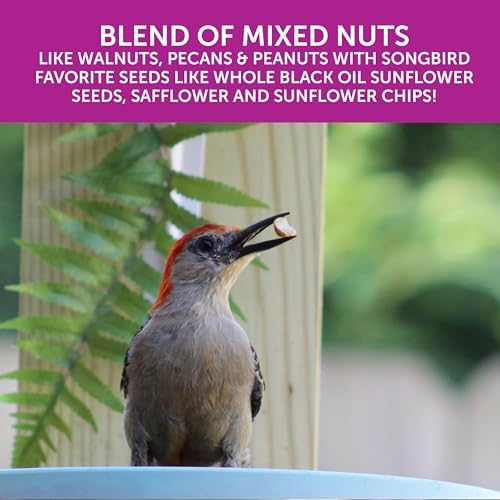 Pennington Ultra Double Nut, Nut & Fruit Blend 10lbs (Pack of 2)