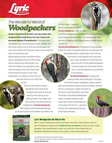Lyric Woodpecker Wild Bird Seed, No Waste Bird Seed with Nuts, Dried Fruit & Shelled Seeds - 20 lb. Bag