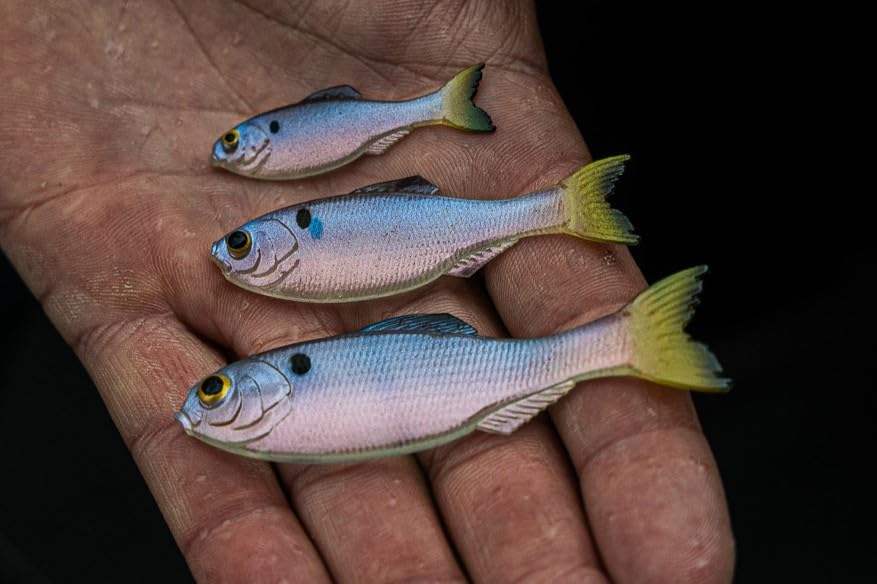 6th Sense Panorama Soft Plastic Lure – Realistic Forage Imitation, Versatile Rigging, Fluid Movement, Premium Paint Schemes