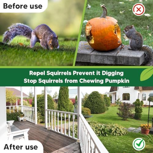 Squirrel Repellent Outdoor, Chipmunk Repellent, Squirrels Repellant for Garden, Chipmunk Deterrent for Attic, Keep Squirrel Out of Cars for, Repellants Squirrels for Plant & Bird Feeder-8P
