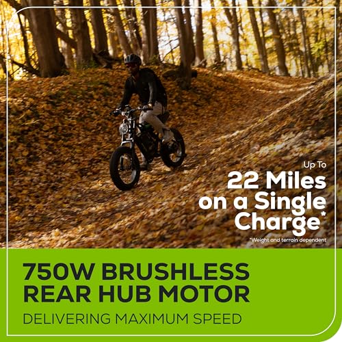 Greenworks 80V 20" All-Terrain Fat Tire Electric Bike for Adults (750W Brushless Rear Hub Motor), 7-Speed, Up to 20 MPH, Dual Disc Brakes, Pedal Assist, Battery Not Included
