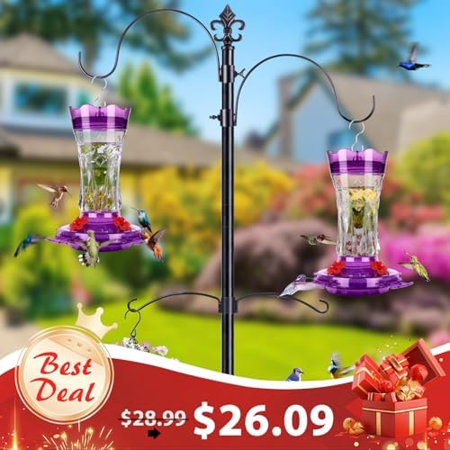 Hummingbird Feeders for Outdoors Hanging, BOLITE Glass Hummingbird Feeder, 4 Bee Guard Feeding Ports, Built-in Ant Moat, Leak Proof, 15 Ounces, Stars Decor, Purple, 2 Pack, Gifts for Women Men