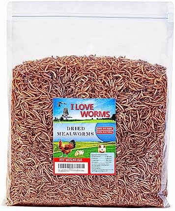 I LOVE WORMS Dried Mealworms (5lb), Wild Bird Food, High-Protein Mealworms for Bluebirds, Chickens, Ducks, Reptile, Tortoise, Amphibian, Lizard
