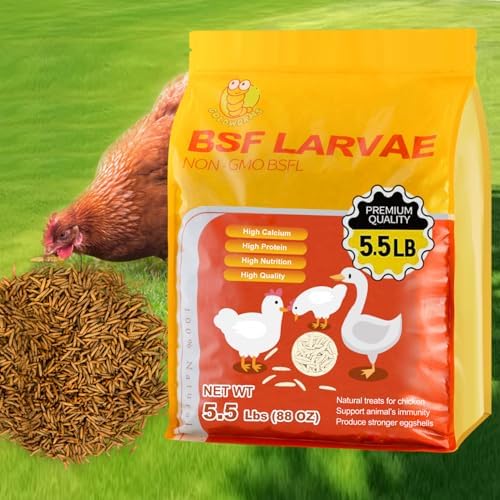 5.5LBS Black Soldier Fly Larvae Superior to Dried Mealworm - BSF Larvae 85x More Calcium Than Meal Worms for Chickens - Black Solider Fly Larvaeis Treats for Laying Hens, Birds, Reptiles