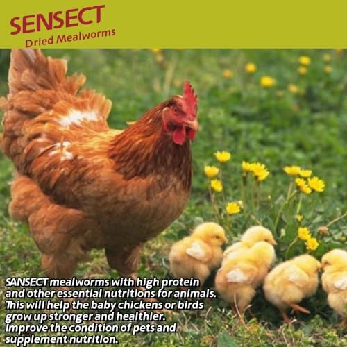 10 LB Dried Mealworms, 100% Natural, Non-GMO Mealworms for Chickens-High Protein Treats for Chickens, Ducks, Wild Birds