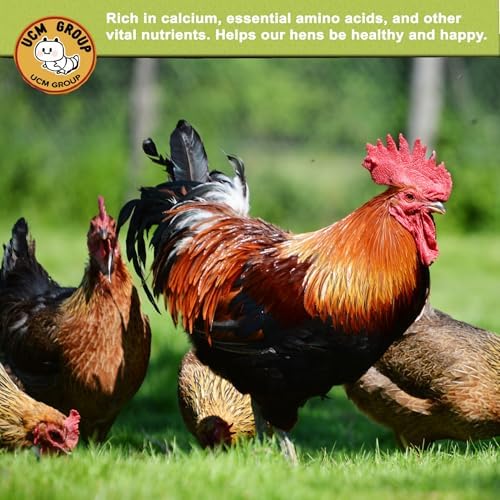 UCM Group 10LB Dried Black Soldier Fly Larvae for Chicken, Poultry, Wild Birds,100% Natural Non-GMO, No Additives, Treat, More Calcium Chicken Treats Than Mealworms