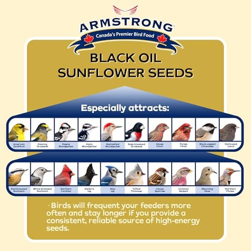 Armstrong Wild Bird Food Black Oil Sunflower Bird Seed, 35.3 Pounds - for Northern Cardinals, Blue Jays and Hairy Woodpeckers - Ideal for Outside Feeders