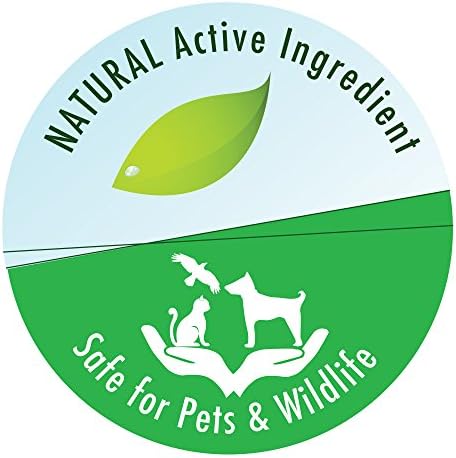 API POND-ZYME SLUDGE DESTROYER Pond Cleaner With Natural Pond Bacteria And Barley, 8oz container (146)