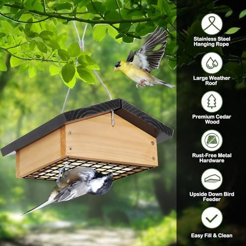 Upside-Down Suet Feeder Squirrel Proof with Durable Cedar Wood,Winter Bird Feeders for Outdoors Hanging, Attracts Woodpeckers, Nuthatches, and Chickadees, Easy to Refill