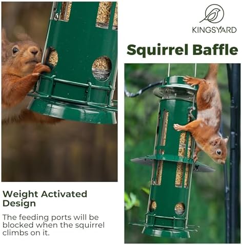 Kingsyard Squirrel Proof Bird Feeder with Removable Base, All Metal, Tube Bird Feeders for Outdoors Hanging, Easy to Clean & Refill, Dark Green