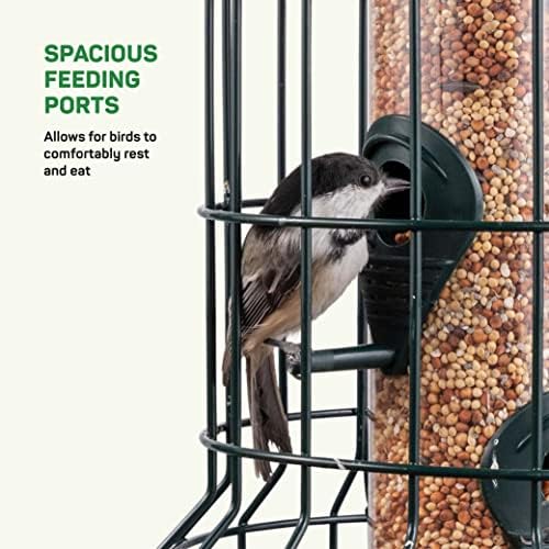 Squirrel Resistant Bird Feeders 22 oz. Bird Feeder with 4 Perches for Small Backyard Birds ONLY. Bird Feeder Squirrel Proof/Chew Proof/Rustproof. Fill with Wild Bird Seed for Outside Feeders