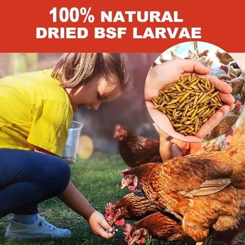 11LB Dried Black Solider Fly Larvae, BSFL is High Protein Chicken Feed with 85x More Calcium Than Dried Mealworms, Poultry Treats, Chickens Love, Birds Love, Hens Love, Ducks Love