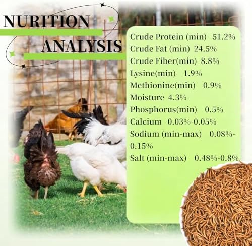 20 LB Dried Mealworms, 100% Natural, Non-GMO Mealworms for Chickens-High Protein Treats for Chickens, Ducks, Wild Birds