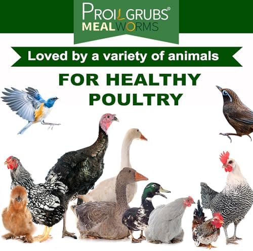 PROILGRUBS 2 LBS Dried Mealworms Super High Protein Nutritious Feed for Birds &Chickens - Organic Meal Worms for Laying Hens,Duck,Fish,Turtle,Reptil…
