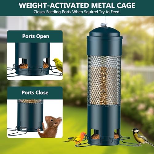 Bird Feeders for Outdoors Squirrel Proof with Weight-Activated Perches, Hanging Bird Feeder for Outside, Metal Feeder for Wild Cardinal, Finch, Blue Jay, Chickadee, 3LB Seed Capacity, Green
