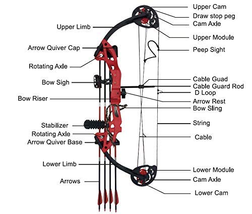 PANDARUS Compound Bow Archery for Youth and Beginner, Right/Left Handed,19”-28” Draw Length,15-29 Lbs Draw Weight, 260 fps, Package with Archery Hunting Equipment Carry Case(Black Right Handed Pro)