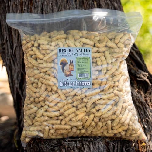 Desert Valley in Shell Peanuts, All Natural Premium Wild Bird and Wildlife Food for Squirrels, Chipmunks, Cardinals, Jays, Woodpeckers and More (10 Pounds)
