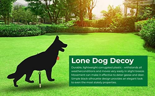Lone Dog Decoy - Predator Decoys, Repellent for Geese, Deer - Goose Deterrent, Dog Decoy to Keep Away Pests - Predator Replica Visual Scare Device