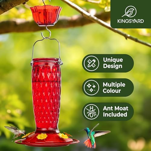 Kingsyard 2 Pack Glass Hummingbird Feeders for Outdoors Hanging, Wild Bird Nectar Feeder with 6 Feeding Ports, 24 oz Leak-Proof, Red (Ant Moat Included)