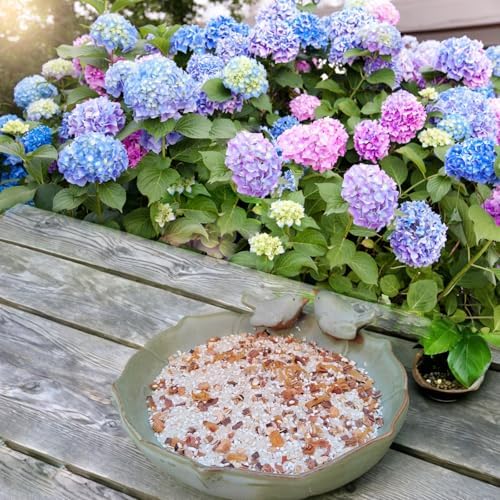 Ceramic Bird Bath for Outside on Ground, 9.45-Inch Birds Bath Bowl Only, Ground Bird Feeders and birdbath for Outdoors, Garden, Tabletop, Deck, Balcony and Lawn