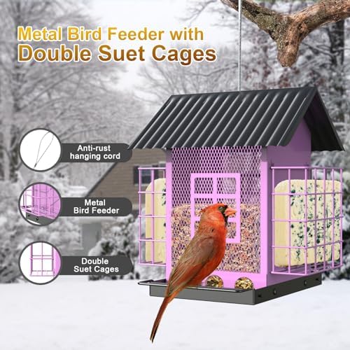 Bird Feeders for Outdoors Hanging, Metal Bird Feeder with Double Suet Cage Cake, Large Capacity, Birdfeeders Sturdy & Weatherproof, Easy to Clean & Refill, Great for Attracting Wild Birds