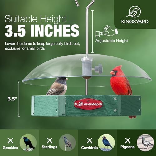 Kingsyard Platform Bird Feeder for Outdoor Hanging - Rugged Recycled Plastic Wild Bird Feeding Station with Adjustable Dome & Metal Mesh Tray, Green