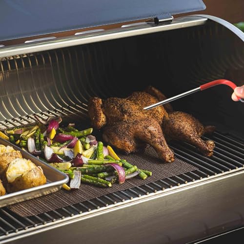 2-Pack Temperature Meat Probe Replacement for Rec tec Wood Grill, Comes with 2 Pack Probe Grommet, Recteq Grill Accessories,with Temperature Probe Clip
