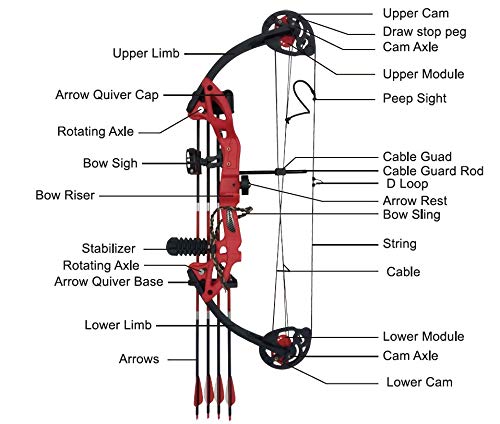 PANDARUS Compound Bow Archery for Youth and Beginner, Right/Left Handed,19”-28” Draw Length,15-29 Lbs Draw Weight, 260 fps, Package with Archery Hunting Equipment Carry Case(Blue Right Handed Pro)