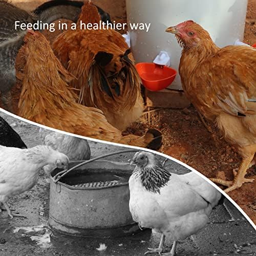 DIY Chicken Feeder and Waterer Automatic Chicken Feeder No Waste Poultry Feeder Kit for Buckets Barrels Bins Troughs, 6 Ports and 6 Water Cups