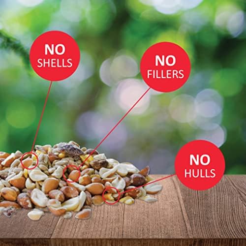 Lyric Woodpecker Wild Bird Seed, No Waste Bird Seed with Nuts, Dried Fruit & Shelled Seeds - 20 lb. Bag