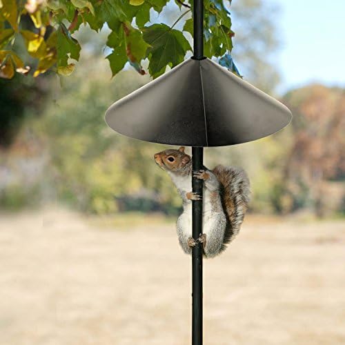 Woodlink Squirrel-Proof Bird Feeder w/6 Ports, 3.4-Pound Seed Capacity, Free Funnel & Audubon Squirrel Baffle, 18-Inch - Black
