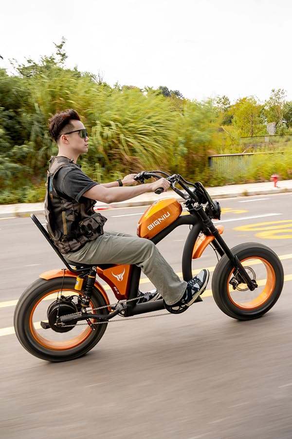 Adult Electric Bike, 1500W Brushless Motor 52V/27Ah Range Up to 38 Miles E Bike Front/Rear Turn Signals Dual Suspension Electric Bike BG-X PRO Whit Saddle Bags & Racks (Blue)