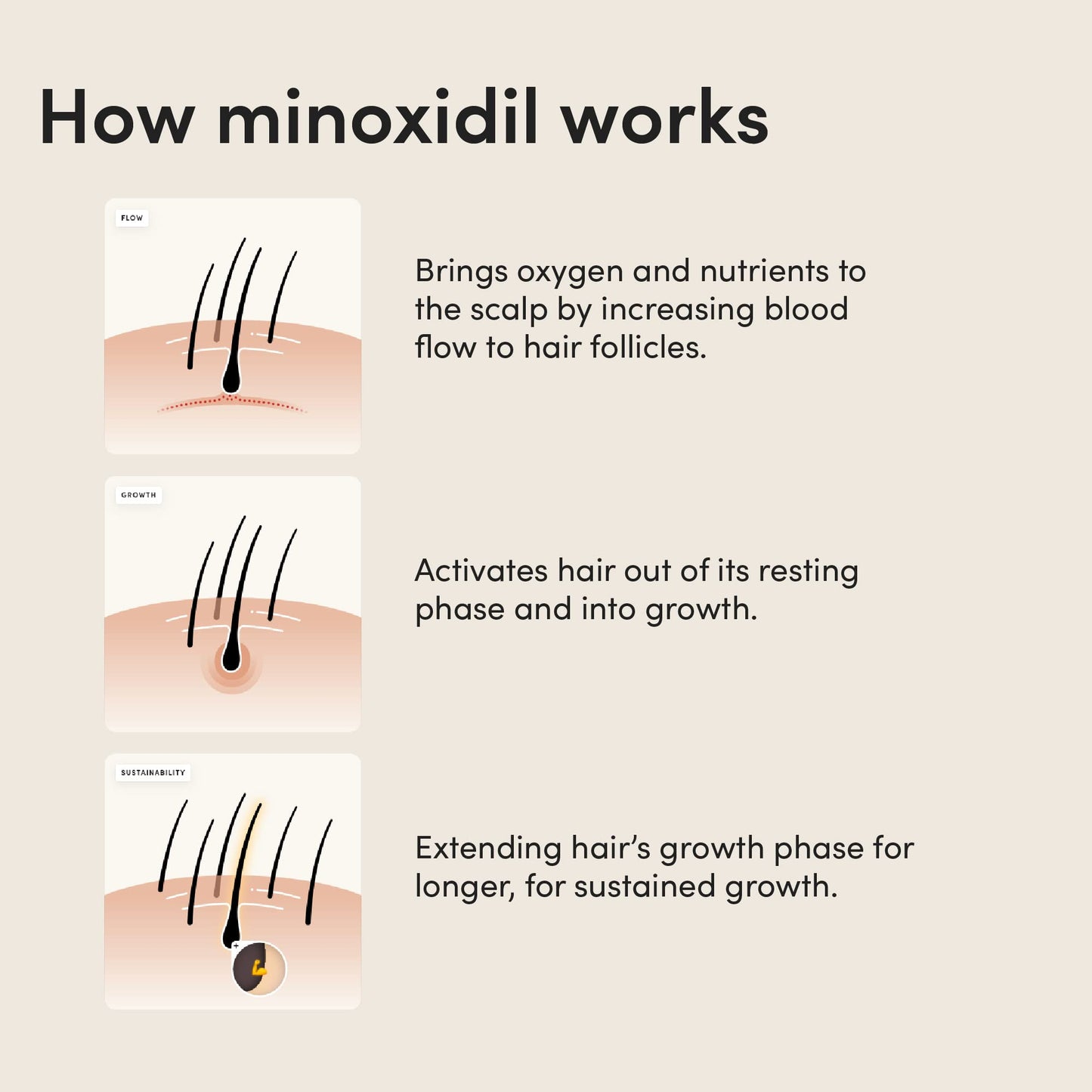 hims Topical Minoxidil Foam, 5% - Extra Strength Hair Growth Treatment for Men - Clinically Proven to Reduce Hair Loss in 3-6 Months - Unscented - 3 Pack, 3 Month Supply