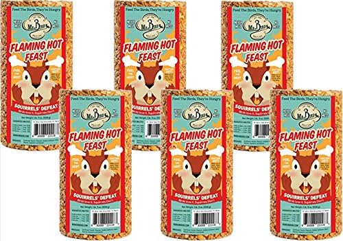 Mr. Bird 6-Pack Flaming Hot Feast Small Wild Bird Seed Cylinder 19 oz.