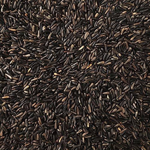 Nyjer Thistle Seeds for Wild Birds 15 lbs No Grow Premium Bird Seed Attracts Finches, Goldfinches, Ideal for Year-Round Feeding High in Protein and Energy.