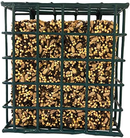 Songbird Treats Seed Bars | 12 Pack of 7 oz Bird Seed Cakes for Wild Birds (Sunny Mealworm)