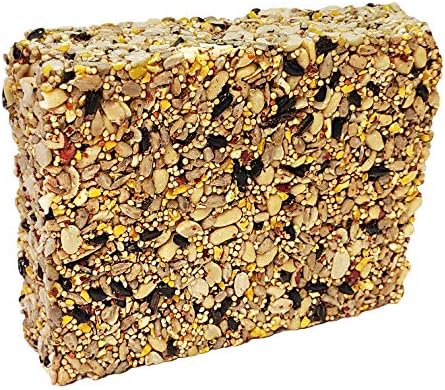 Songbird Treats Seed Bars | 12 Pack of 8 oz Bird Seed Cakes for Wild Birds (Woodpecker Crunch)