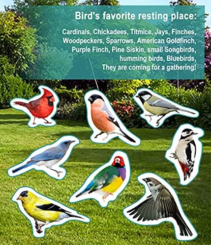 Garbuildman Extra-Large Freestanding Birdbaths Bowl, Detachable Decoration Spa with Metal Stake Stand & Birdfeeder for Outdoor Garden, Oval Style, Chocolate