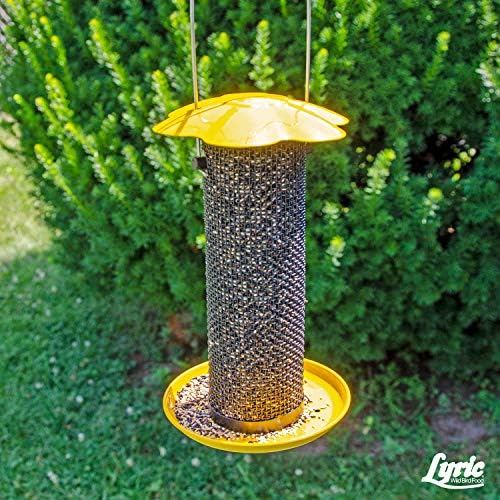 Lyric Finch - Small Songbird Wild Bird Seed - Attracts Goldfinches, House Finches, Purple Finches & More - 5 lb. Bag (Pack of 2)