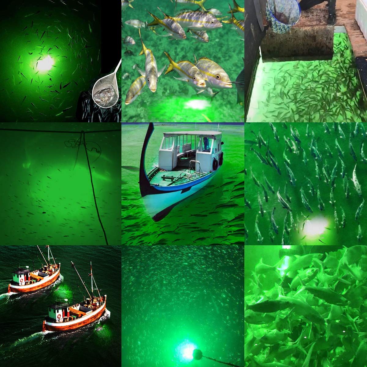SAMDO Underwater Fishing Light Fish Light IP68 12V 180 SMD LED 1080 Lumens Fishing Boat Night Light 10.8W (Green)